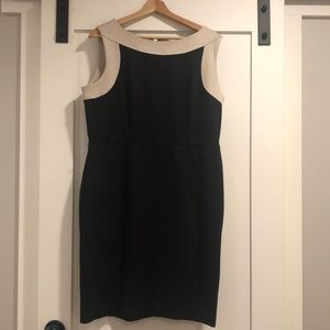 Black and Tan Shift Dress